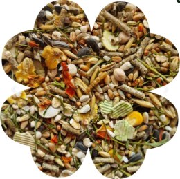 Alegia Enjoy pokarm dla myszy i myszoskoczka 400g Alegia