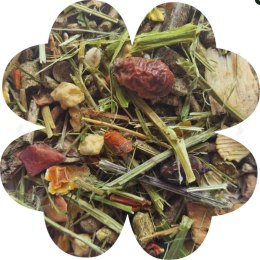 Alegia Enjoy pokarm dla szynszyla 400g Alegia