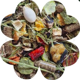 Alegia Enjoy vegetable dla świnki morskiej 600g Alegia