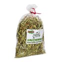 Alegia - koniczyna suszona 100g Alegia