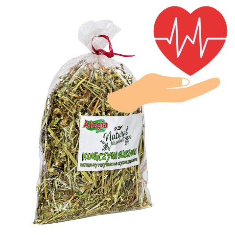Alegia - koniczyna suszona 100g Alegia Alegia - koniczyna suszona 100g Alegia