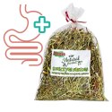 Alegia - koniczyna suszona 100g Alegia