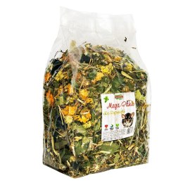 Alegia - mega paka z ziół dla szynszyli 650g Alegia