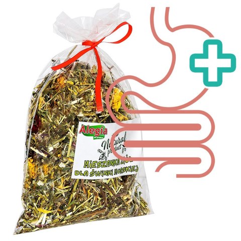 Alegia - mieszanka ziół dla Świnki Morskiej 100g Alegia Alegia - mieszanka ziół dla Świnki Morskiej 100g Alegia