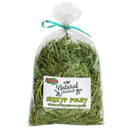 Alegia - skrzyp polny 70g Alegia