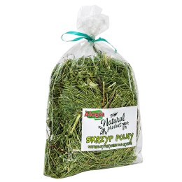 Alegia - skrzyp polny 70g Alegia