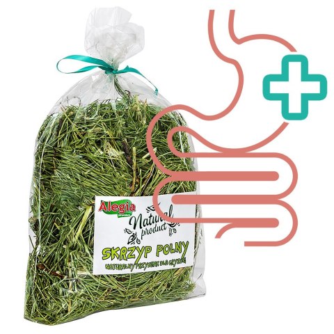 Alegia - skrzyp polny 70g Alegia Alegia - skrzyp polny 70g Alegia