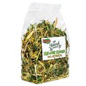 Alegia - zielone ziółka dla szynszyli 120g Alegia