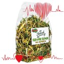 Alegia - zielone ziółka dla szynszyli 120g Alegia