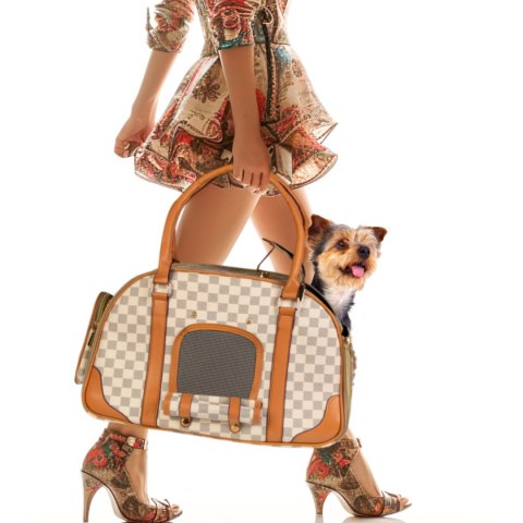Furrever Friends Glamour Bag - transporter dla kota i psa Furrever Friends Furrever Friends Glamour Bag - transporter dla kota i psa Furrever Friends