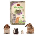 Vitapol VitaHerbal - siano dla gryzoni 1,2kg Vitapol VitaHerbal - siano dla gryzoni 1,2kg