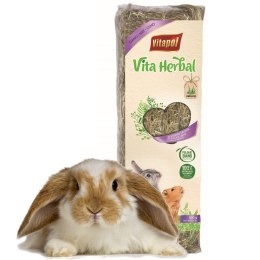 Vitapol VitaHerbal - siano dla gryzoni 500g Vitapol