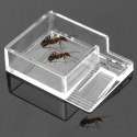 Ant Expert Ant Feeder - karmnik dla mrówek Ant Expert
