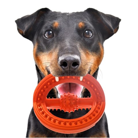 HappyPet Frame Ball - gumowa piłka Happypet