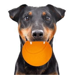 HappyPet Glow Balls - piszcząca piłka Happypet