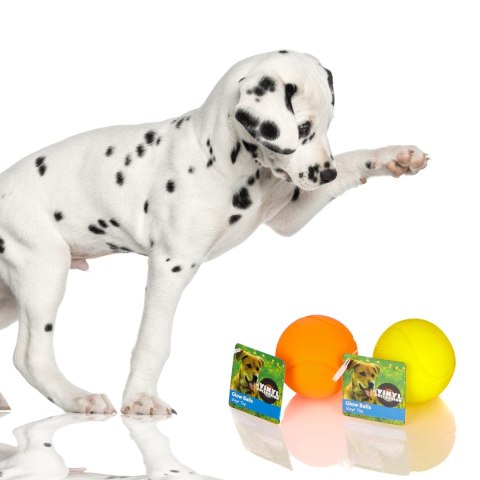 HappyPet Glow Balls - piszcząca piłka Happypet HappyPet Glow Balls - piszcząca piłka Happypet