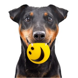 HappyPet Smiley Ball - uśmiechnięta piłeczka Happypet