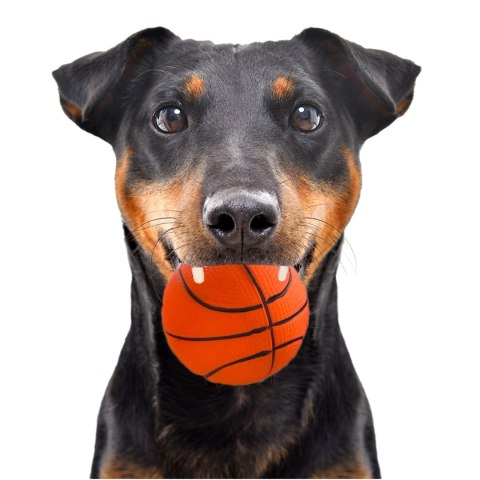 HappyPet Sports Balls - sprężysta piłka Happypet