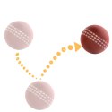 HappyPet Sports Balls - sprężysta piłka Happypet