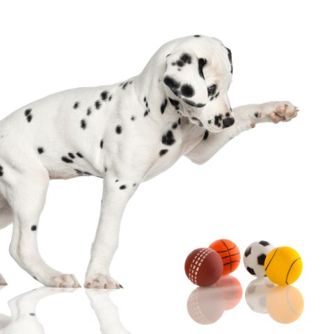 HappyPet Sports Balls - sprężysta piłka Happypet HappyPet Sports Balls - sprężysta piłka Happypet