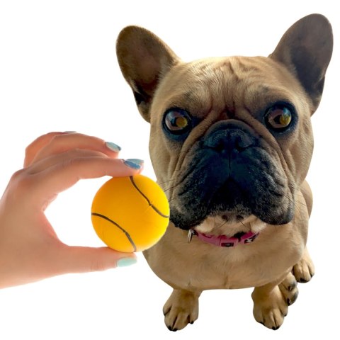 HappyPet Sports Balls - sprężysta piłka Happypet HappyPet Sports Balls - sprężysta piłka Happypet