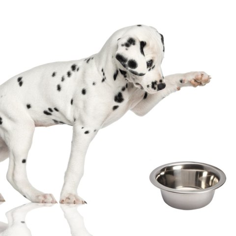 Lupipets Dog Bowl - metalowa miska dla psa 0,22L Lupipets Dog Bowl - metalowa miska dla psa 0,22L