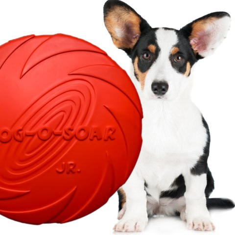 Pet Nova zabawka - dysk gumowy frisbee czerwony 15cm Aqua Nova Pet Nova zabawka - dysk gumowy frisbee czerwony 15cm Aqua Nova