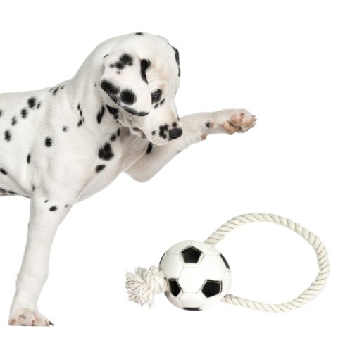 Pet Nova zabawka gumowa - piłka futbolowa na sznurku 26cm Aqua Nova Pet Nova zabawka gumowa - piłka futbolowa na sznurku 26cm Aqua Nova