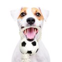Pet Nova zabawka gumowa - piłka futbolowa na sznurku 26cm Aqua Nova