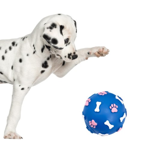 Pet Nova zabawka gumowa - piłka ze wzorem łapek i kości niebieska 9cm Aqua Nova Pet Nova zabawka gumowa - piłka ze wzorem łapek i kości niebieska 9cm Aqua Nova