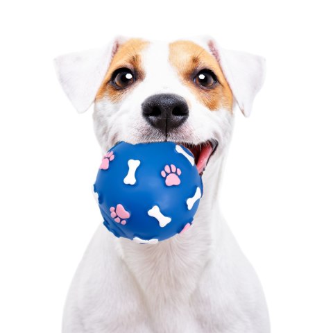 Pet Nova zabawka gumowa - piłka ze wzorem łapek i kości niebieska 9cm Aqua Nova Pet Nova zabawka gumowa - piłka ze wzorem łapek i kości niebieska 9cm Aqua Nova
