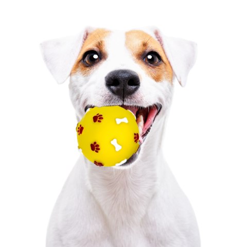 Pet Nova zabawka gumowa - piłka ze wzorem łapek i kości żółta 7,5cm Aqua Nova Pet Nova zabawka gumowa - piłka ze wzorem łapek i kości żółta 7,5cm Aqua Nova