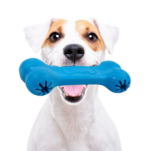 Pet Nova zabawka - kość na przysmaki z aromatem wołowiny niebieska 11cm Aqua Nova Pet Nova zabawka - kość na przysmaki z aromatem wołowiny niebieska 11cm Aqua Nova