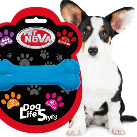 Pet Nova zabawka - kość na przysmaki z aromatem wołowiny niebieska 11cm Aqua Nova Pet Nova zabawka - kość na przysmaki z aromatem wołowiny niebieska 11cm Aqua Nova