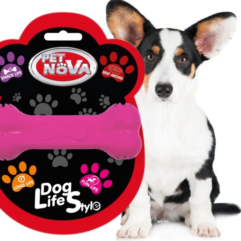 Pet Nova zabawka - kość na przysmaki z aromatem wołowiny różowa 11cm Aqua Nova Pet Nova zabawka - kość na przysmaki z aromatem wołowiny różowa 11cm Aqua Nova