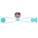 Pet Nova zabawka - piłka dental z przyssawką miętowa 7cm Aqua Nova