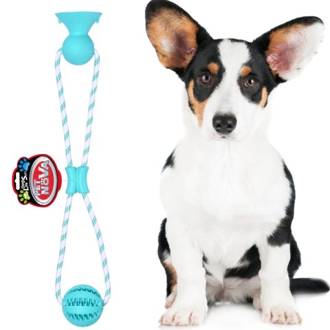 Pet Nova zabawka - piłka dental z przyssawką miętowa 7cm Aqua Nova Pet Nova zabawka - piłka dental z przyssawką miętowa 7cm Aqua Nova