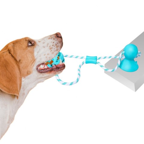 Pet Nova zabawka - piłka dental z przyssawką miętowa 7cm Aqua Nova Pet Nova zabawka - piłka dental z przyssawką miętowa 7cm Aqua Nova