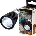 Repti-Zoo LED UVB Lamp Desert - żarówka LED UVB 10.0 pustynna Repti-Zoo