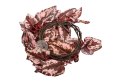 Repti-Zoo roślina wisząca 190cm - Begonia Repti-Zoo