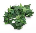 Repti-Zoo roślina wisząca 190cm - Begonia Repti-Zoo