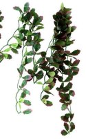 Repti-Zoo roślina wisząca bluszcz czerwony 40cm Repti-Zoo