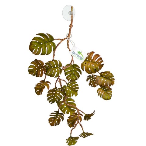 Terrario - Sztuczna Roślina do Terrarium - Monstera Wisząca - 70 cm Terrario Terrario - Sztuczna Roślina do Terrarium - Monstera Wisząca - 70 cm Terrario
