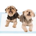 Trixie Hygienic Pads - podkłady dla psa lawenda 40x60cm Trixie