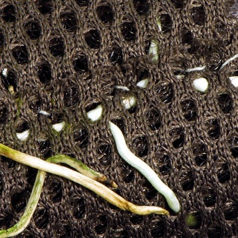 Wacool Rainforest Plant Cotton 290x290mm - hydrolon WaCool Wacool Rainforest Plant Cotton 290x290mm - hydrolon WaCool