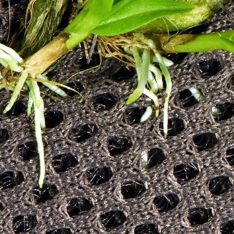 Wacool Rainforest Plant Cotton 290x290mm - hydrolon WaCool Wacool Rainforest Plant Cotton 290x290mm - hydrolon WaCool