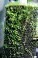 Wacool Rainforest Plant Cotton 290x290mm - hydrolon WaCool