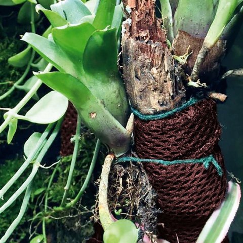 Wacool Rainforest Plant Cotton 290x290mm - hydrolon WaCool Wacool Rainforest Plant Cotton 290x290mm - hydrolon WaCool