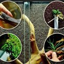 Wacool Rainforest Plant Cotton 290x290mm - hydrolon WaCool
