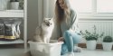 Catario Purrfully Premium - żwirek silikonowy dla kota 3,8L Catario